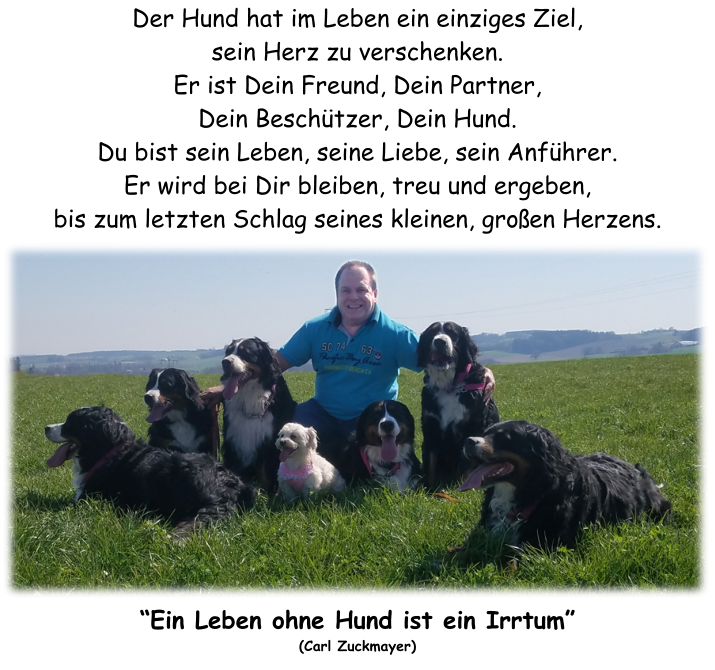 Der Hund hat im Leben ein einziges Ziel, sein Herz zu verschenken. Er ist Dein Freund, Dein Partner,Dein Besch�tzer, Dein Hund. Du bist sein Leben, seine Liebe, sein Anf�hrer. Er wird bei Dir bleiben, treu und ergeben, bis zum letzten Schlag seines kleinen, gro�en Herzens.            �Ein Leben ohne Hund ist ein Irrtum� (Carl Zuckmayer)