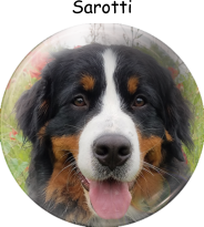 Sarotti